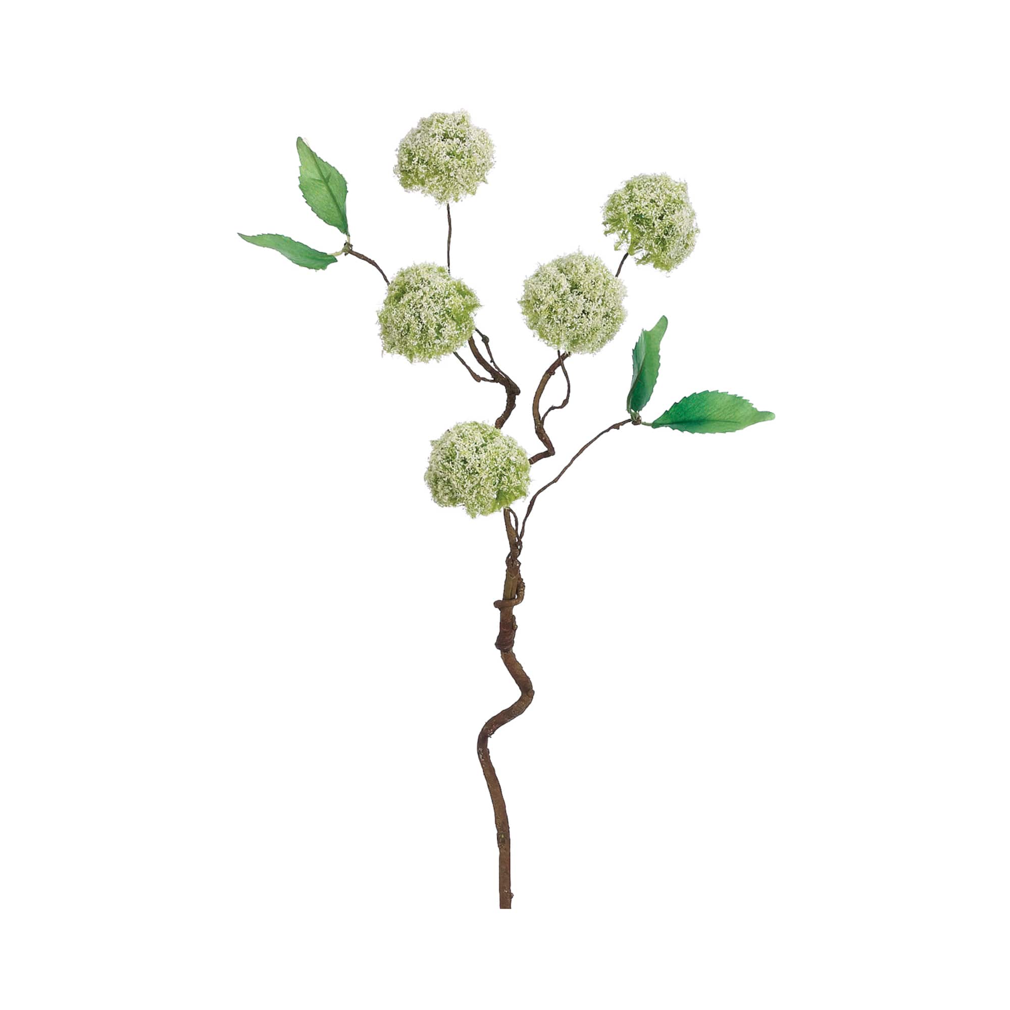 Cream & Green Mini Snowball Spray